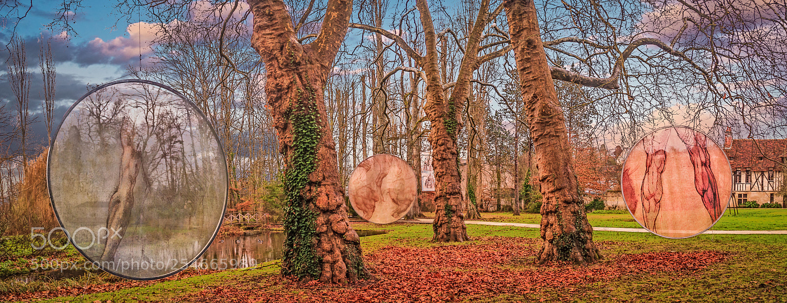 Nikon D90 sample photo. Leonardo da vinci photography