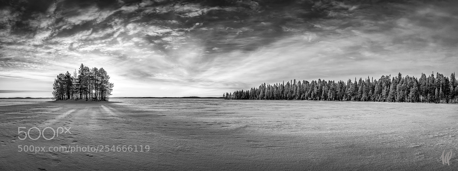Nikon D5 sample photo. Sunrise in lapland photography