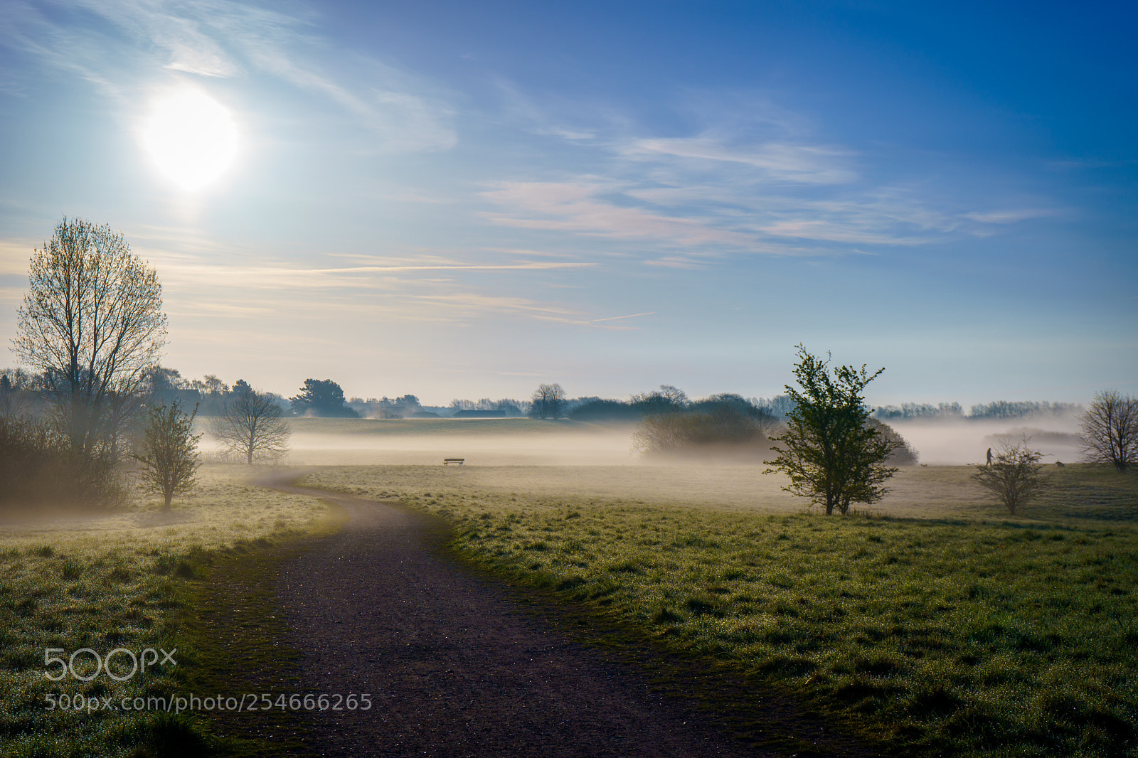 Sony a7 III sample photo. Morning mist photography