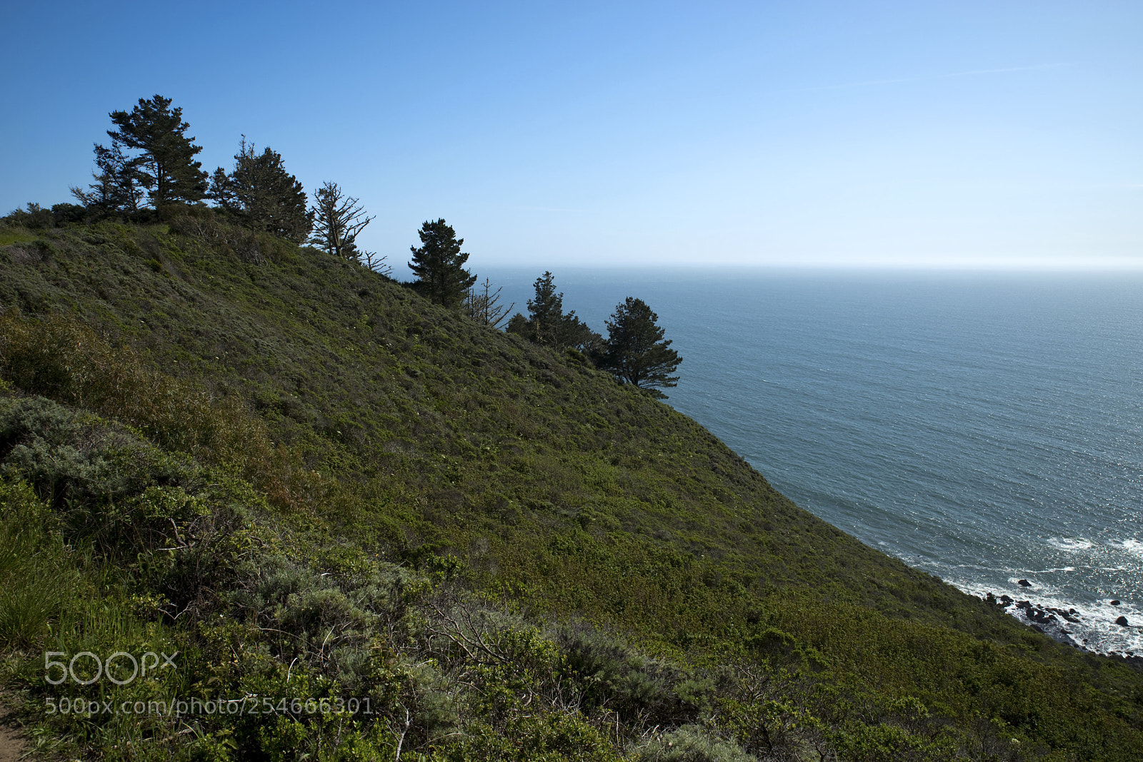 Pentax K-1 sample photo. California in green in photography