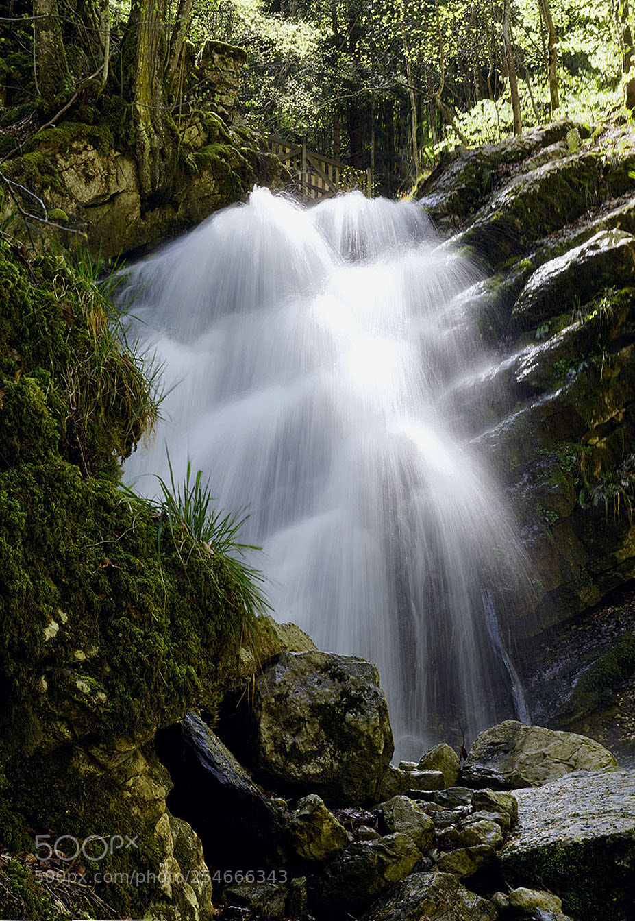 Sony ILCA-77M2 sample photo. Waterfall in chartreuse photography