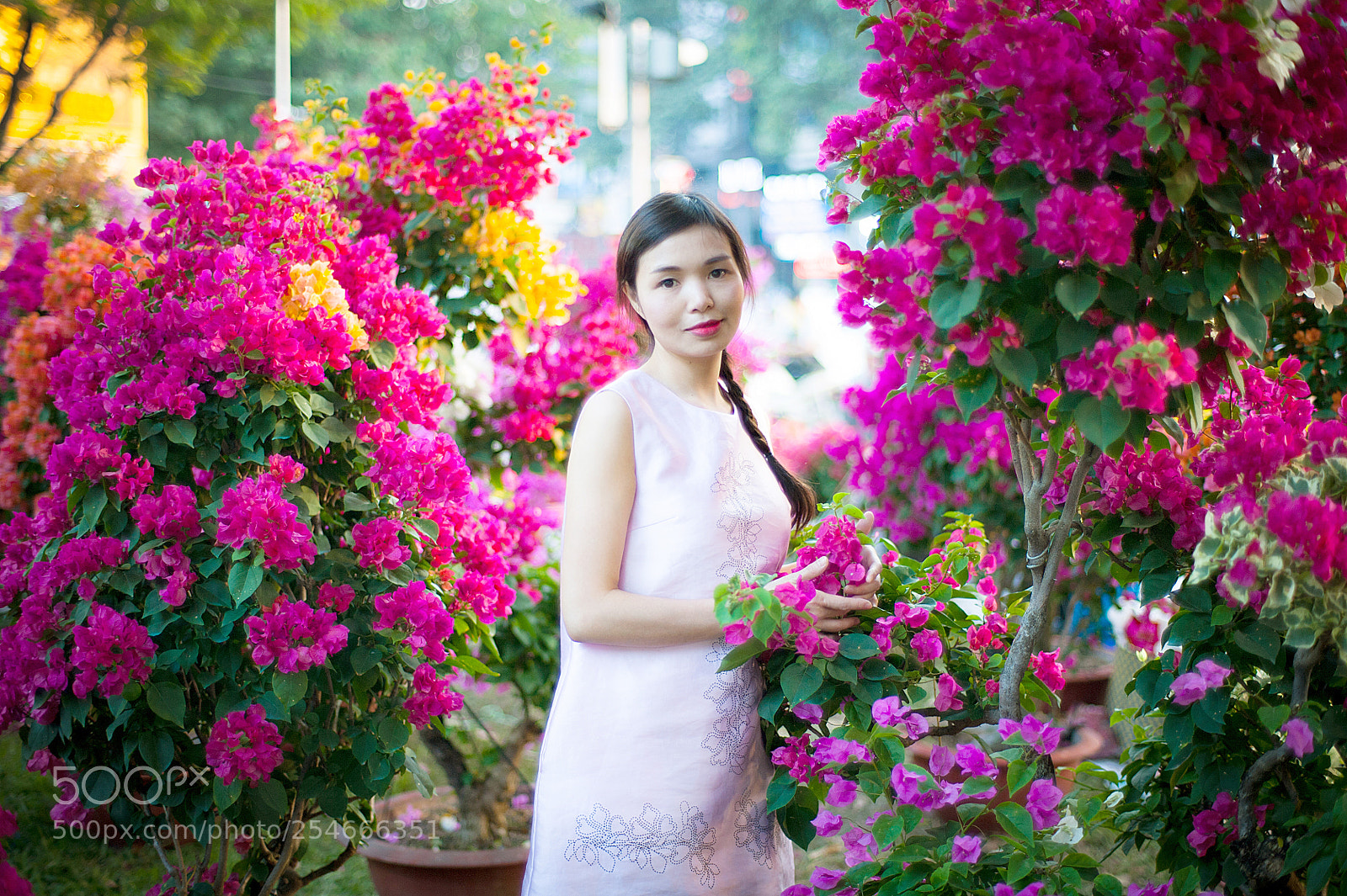 Nikon D700 sample photo. Ltn photography