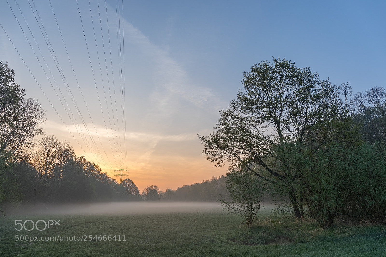 Canon EOS 5D Mark IV sample photo. Foggy morning photography