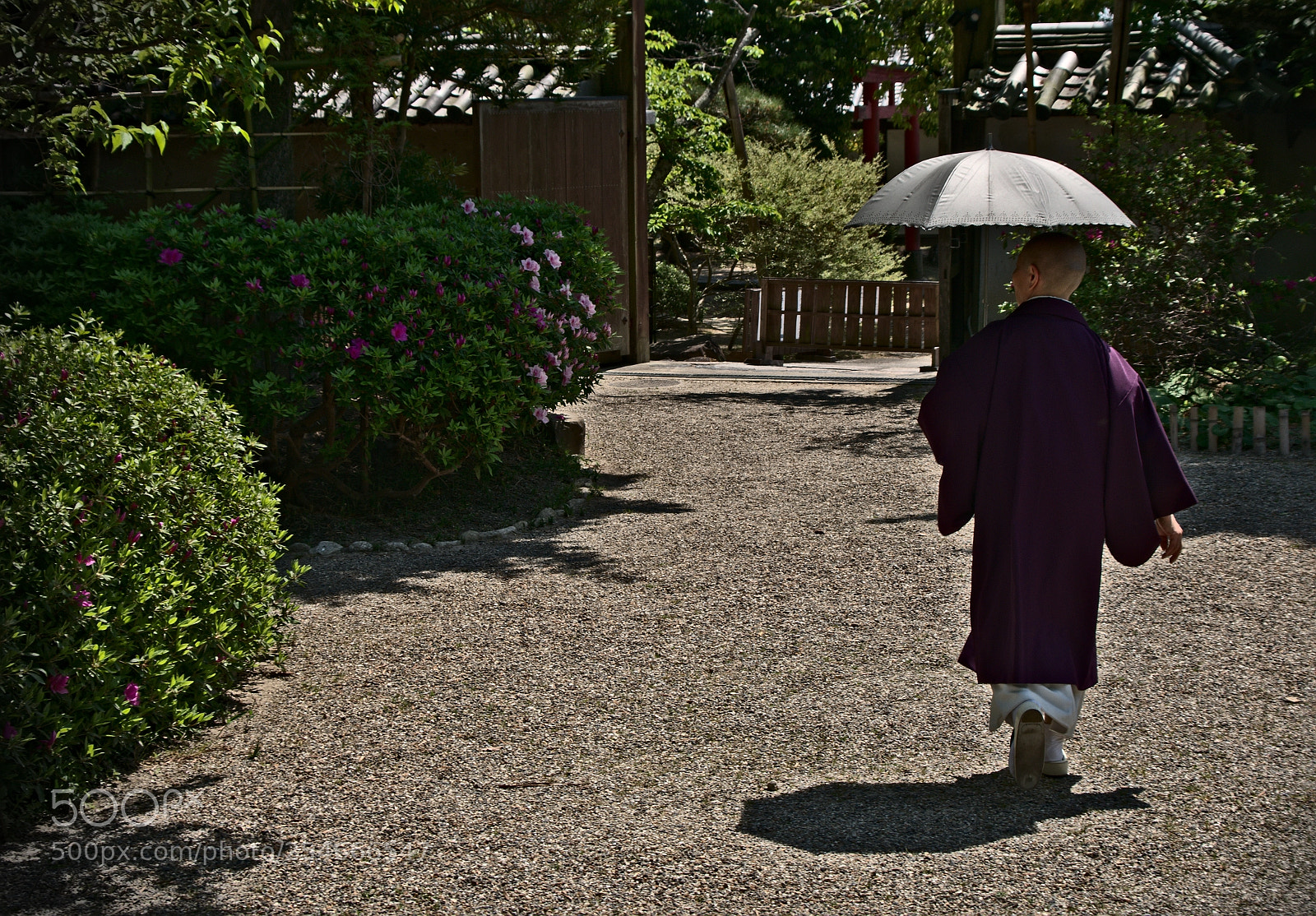 Nikon D3400 sample photo. Japanese encounters photography