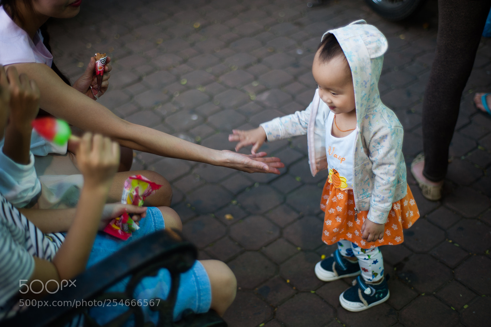 Nikon D700 sample photo. Ltn photography