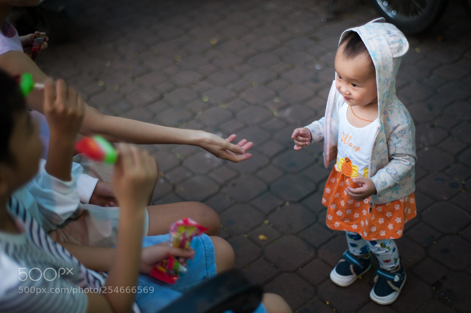 Nikon D700 sample photo. Ltn photography