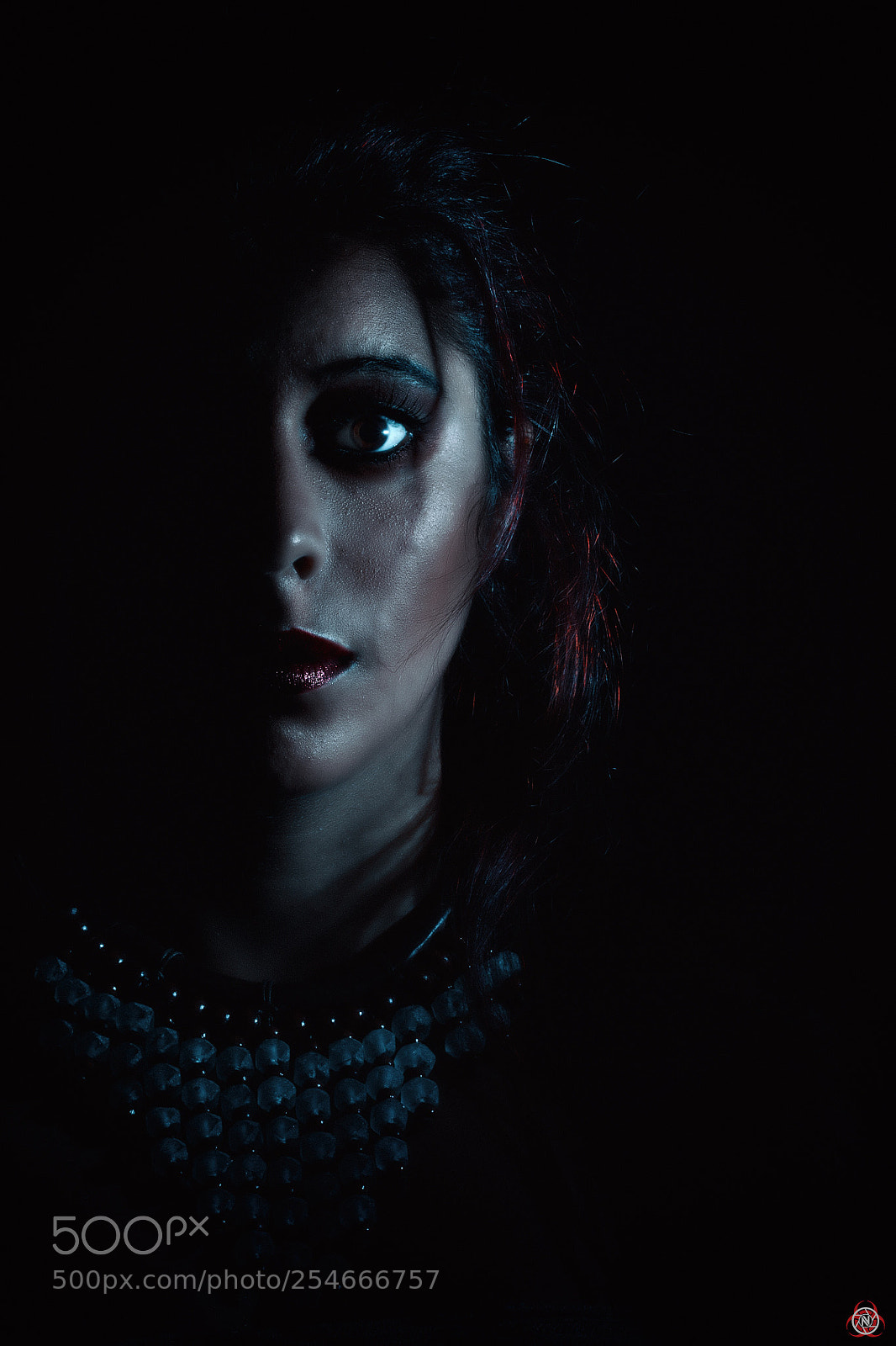 Nikon D7100 sample photo. 46+2 photography