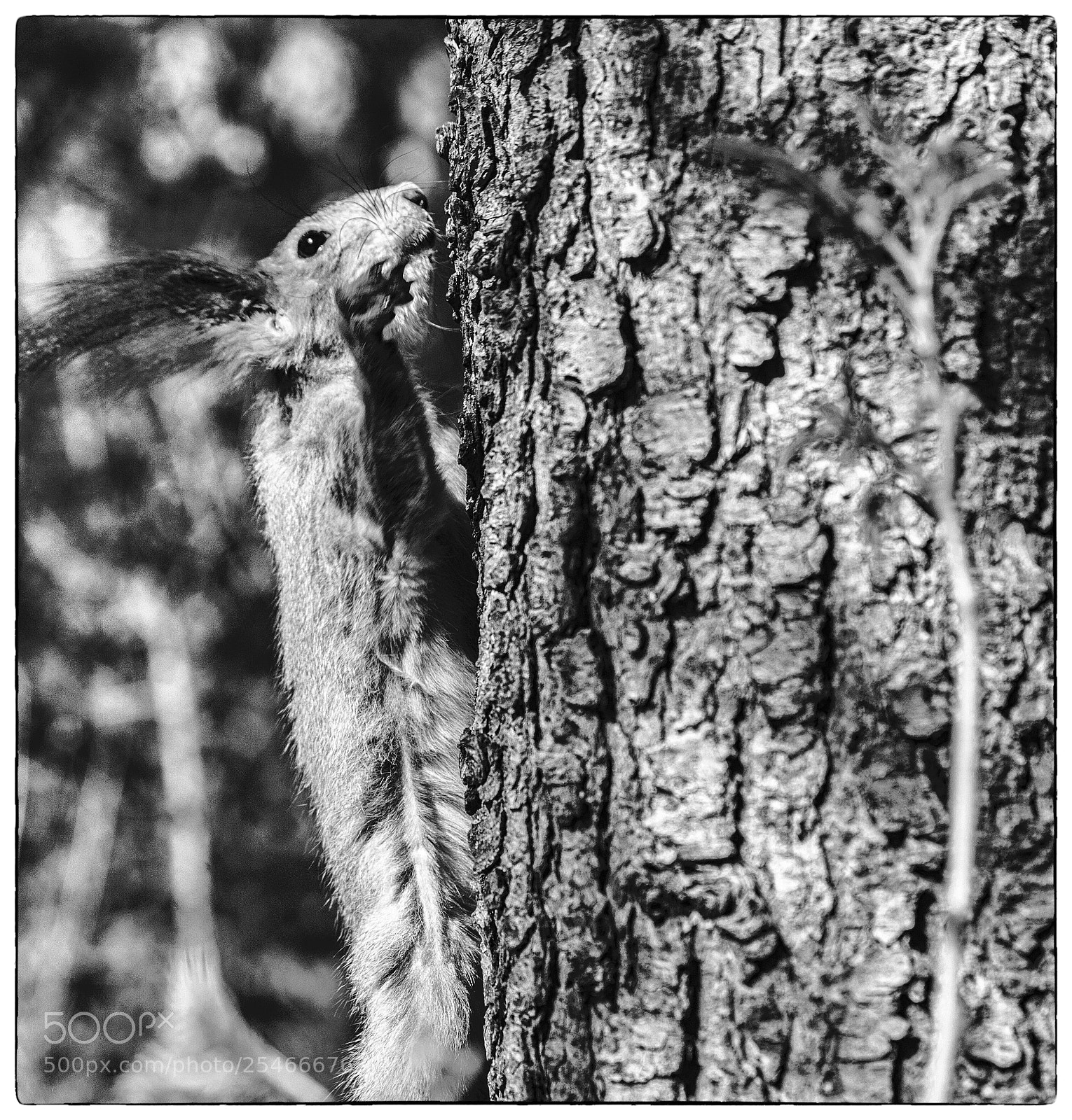 Canon EOS 5D sample photo. Untitled photography