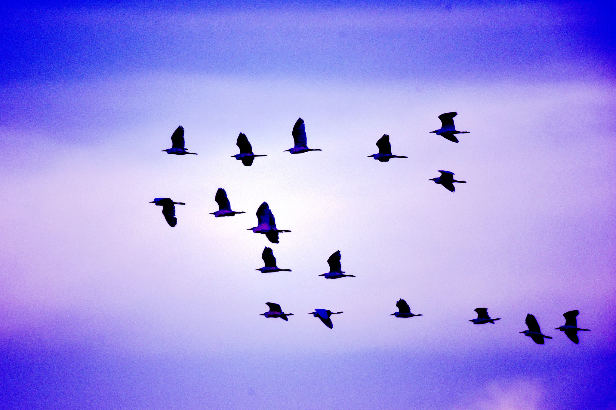 Nikon AF-S Nikkor 200-500mm F5.6E ED VR sample photo