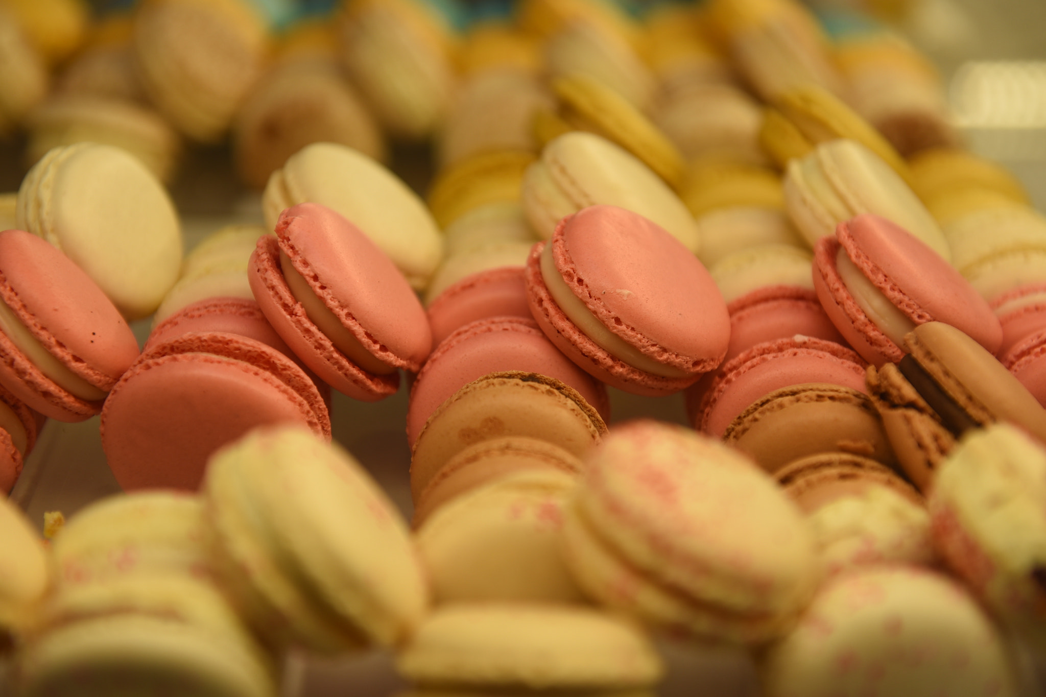Nikon AF-S Nikkor 24-70mm F2.8G ED sample photo. Dessert photography