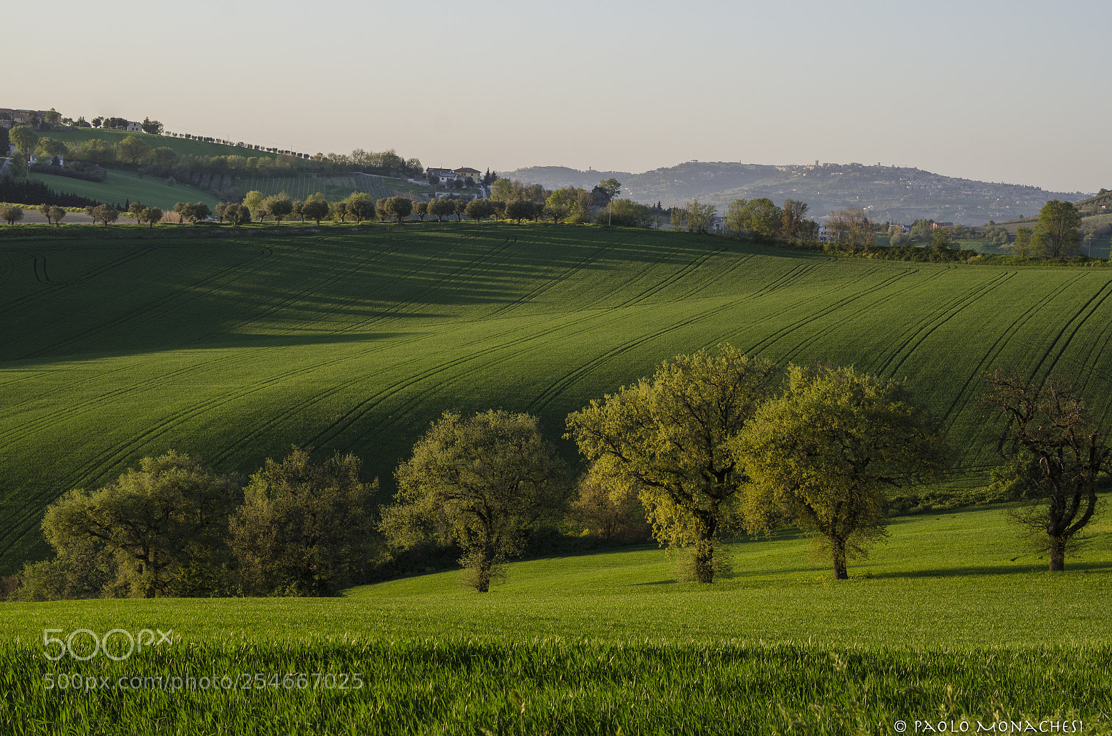 Nikon D7000 sample photo. Marche - italia photography