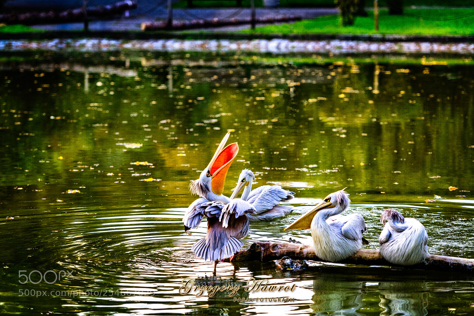 Nikon D800 sample photo. Ludzie, gdzie wy jeste photography
