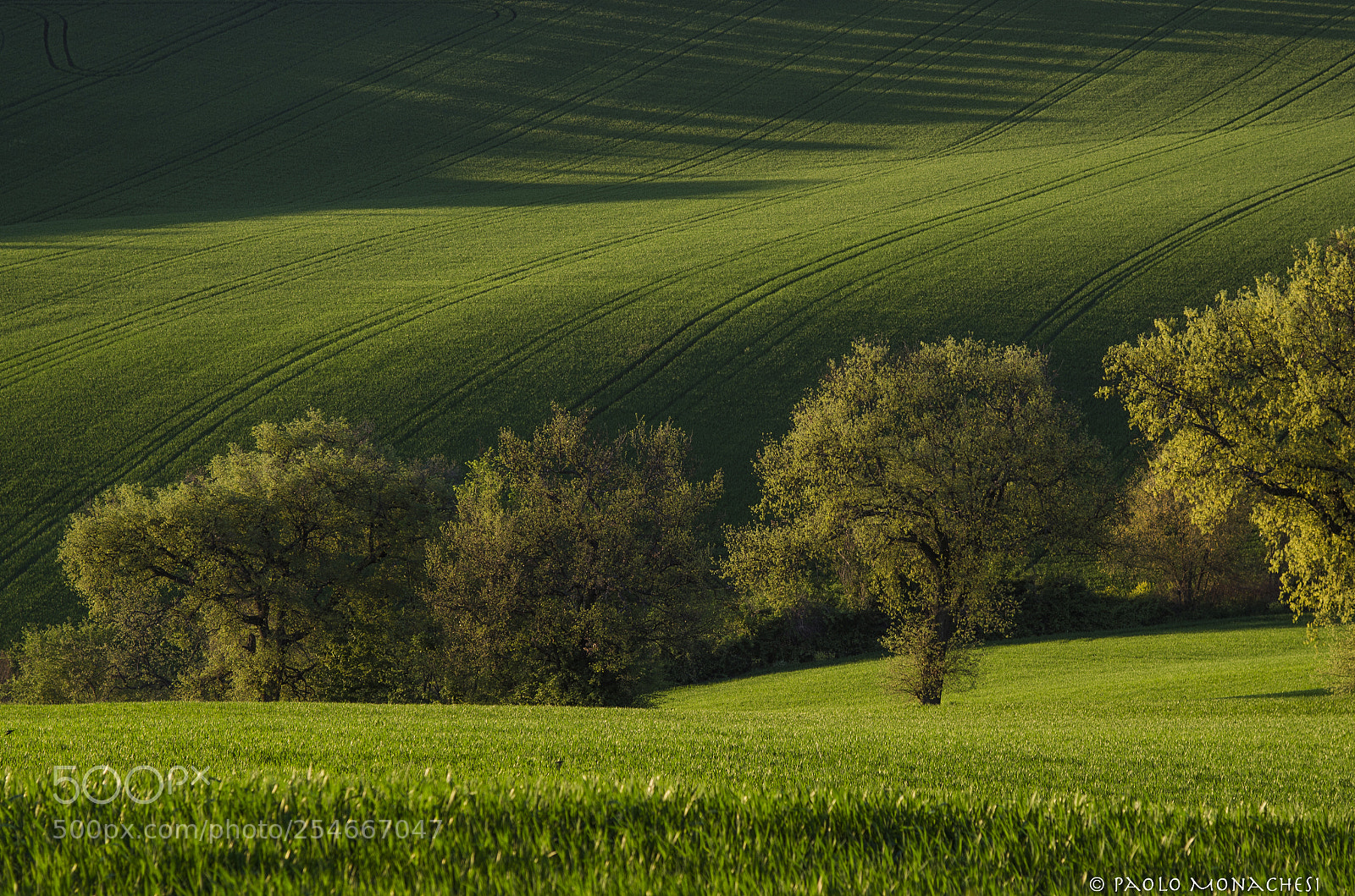 Nikon D7000 sample photo. Marche - italia photography