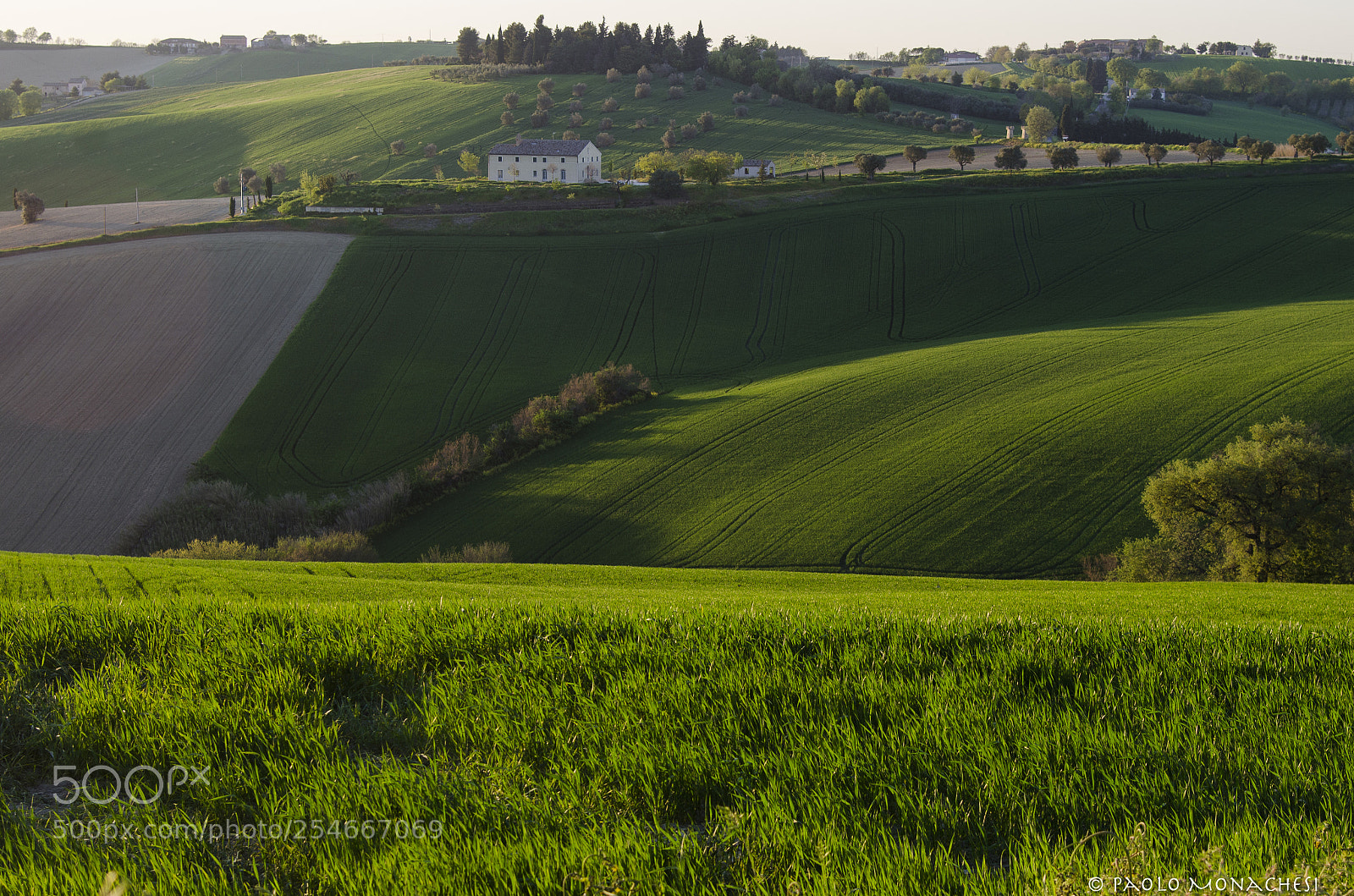 Nikon D7000 sample photo. Marche - italia photography