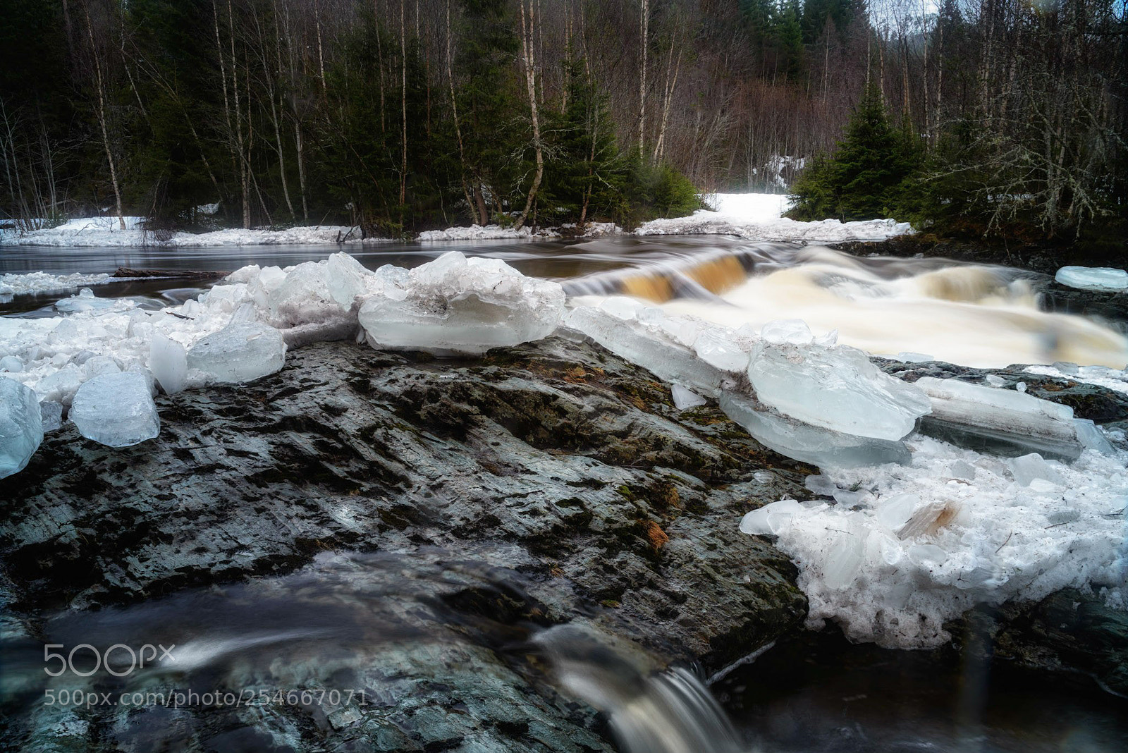 Nikon D610 sample photo. Spring flood photography