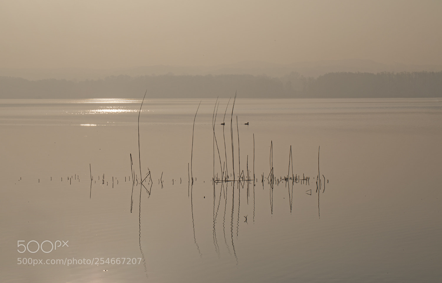 Canon EOS 5D Mark IV sample photo. Minimalist photography