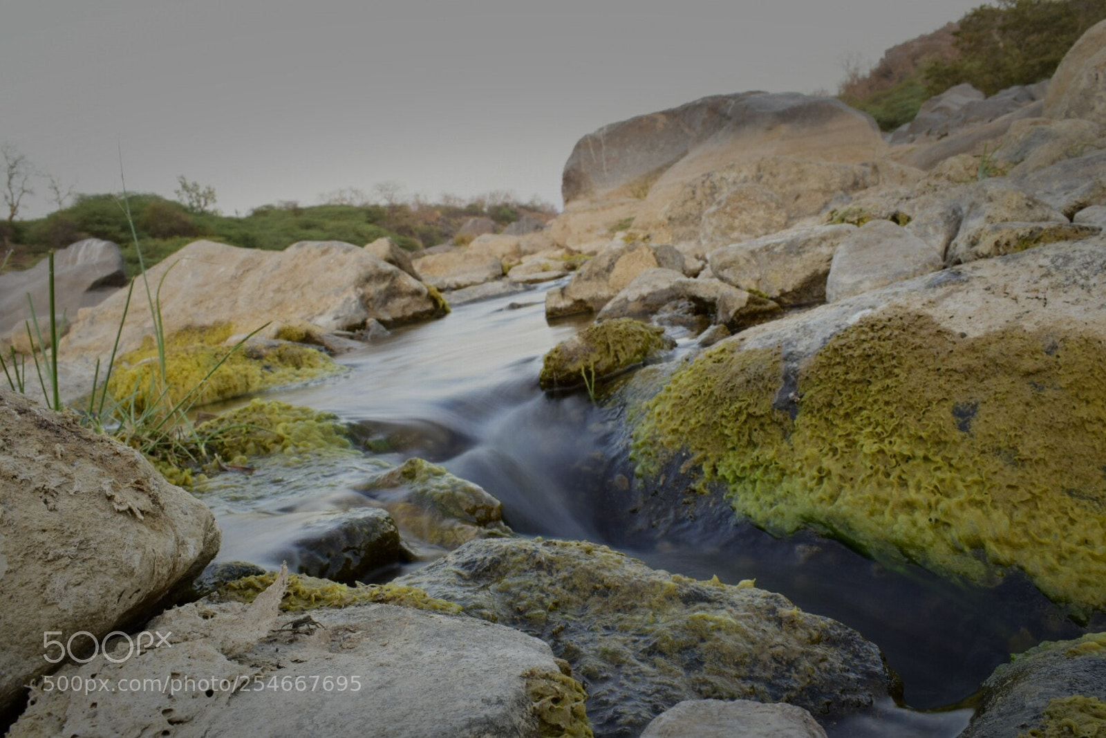 Nikon D5300 sample photo. Stone river photography