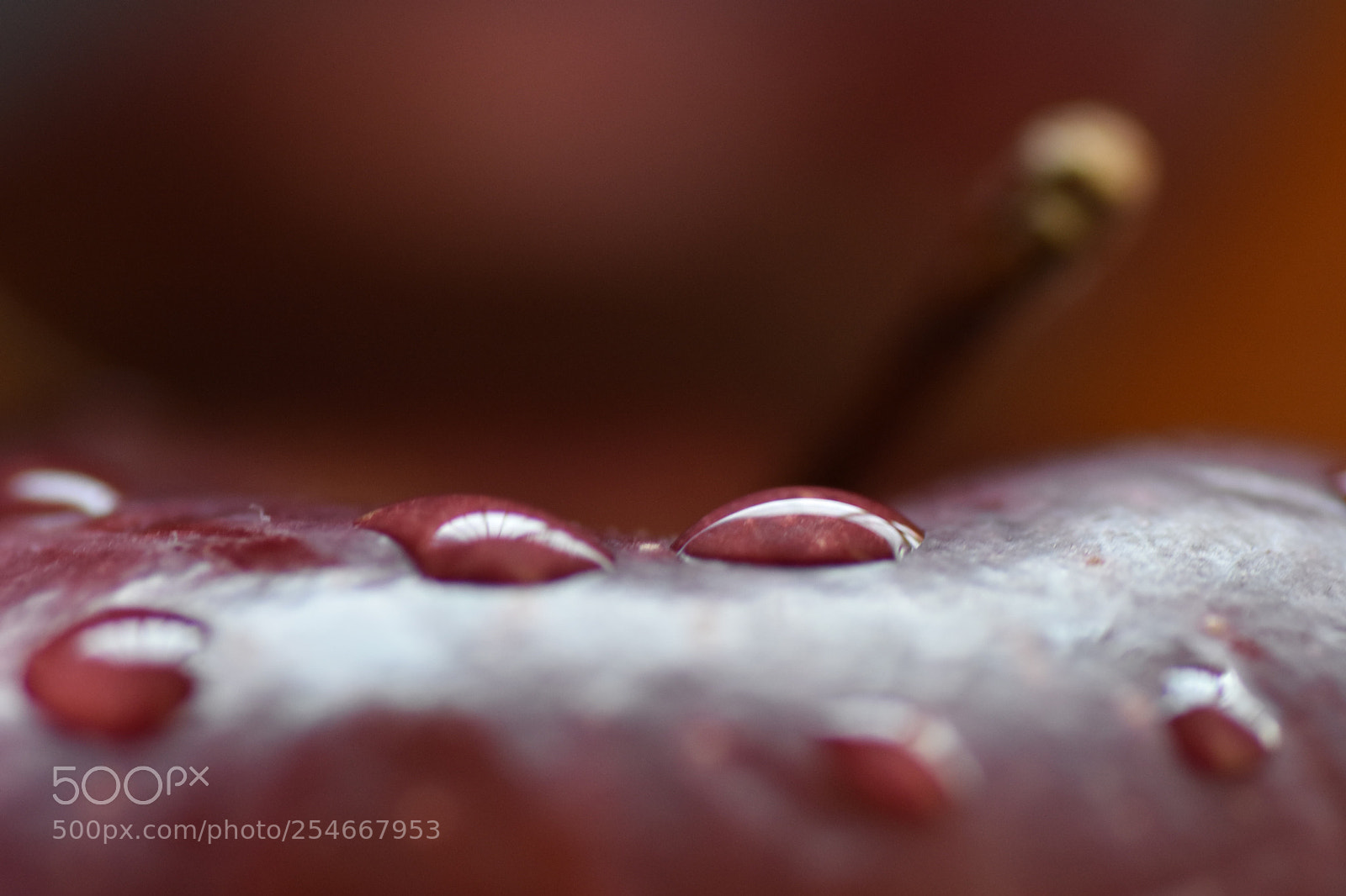 Nikon D7200 sample photo. Watter drops photography
