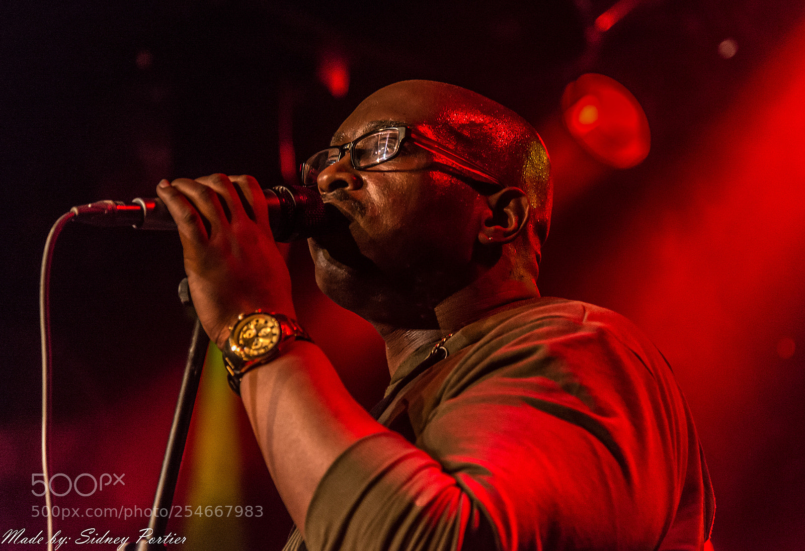 Nikon D600 sample photo. Reggae baba boem bolwerk photography