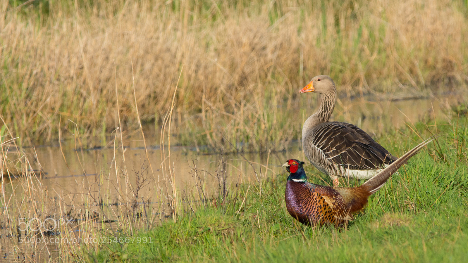Nikon D7100 sample photo. Waiting for the 6pm photography