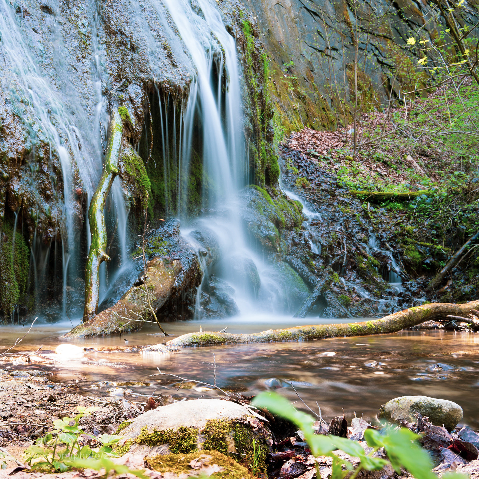 Sony a7 II sample photo. Finally comes spring photography