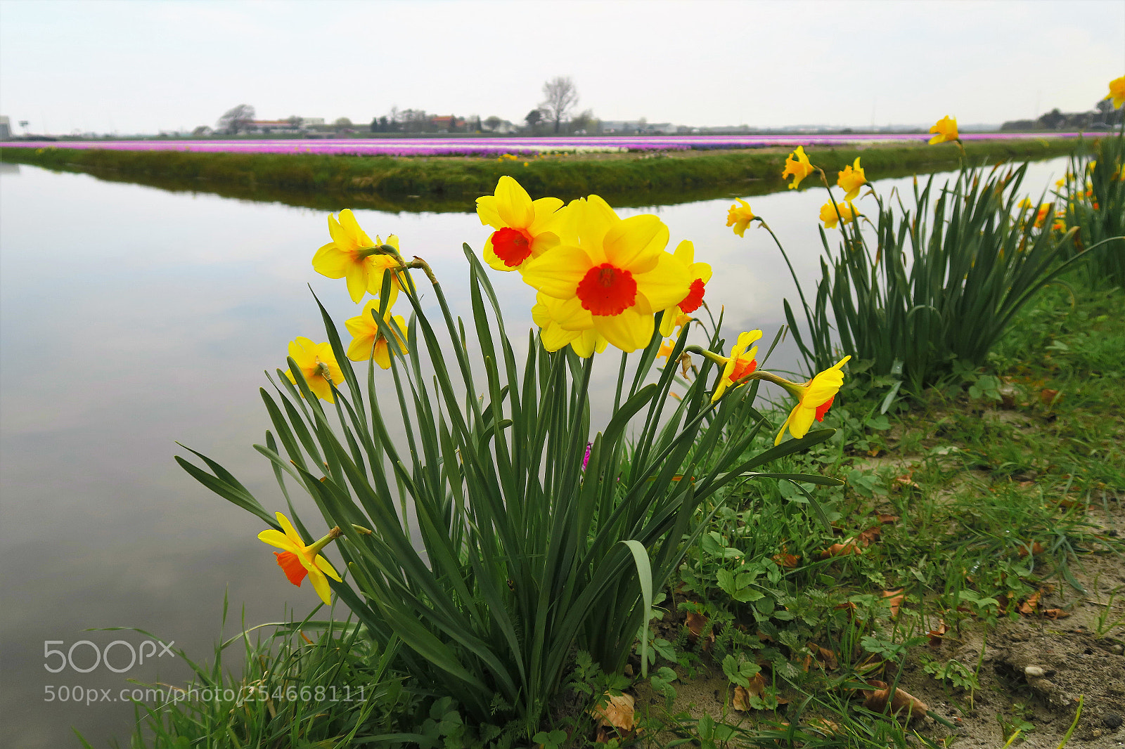 Canon PowerShot G7 X sample photo. Img photography