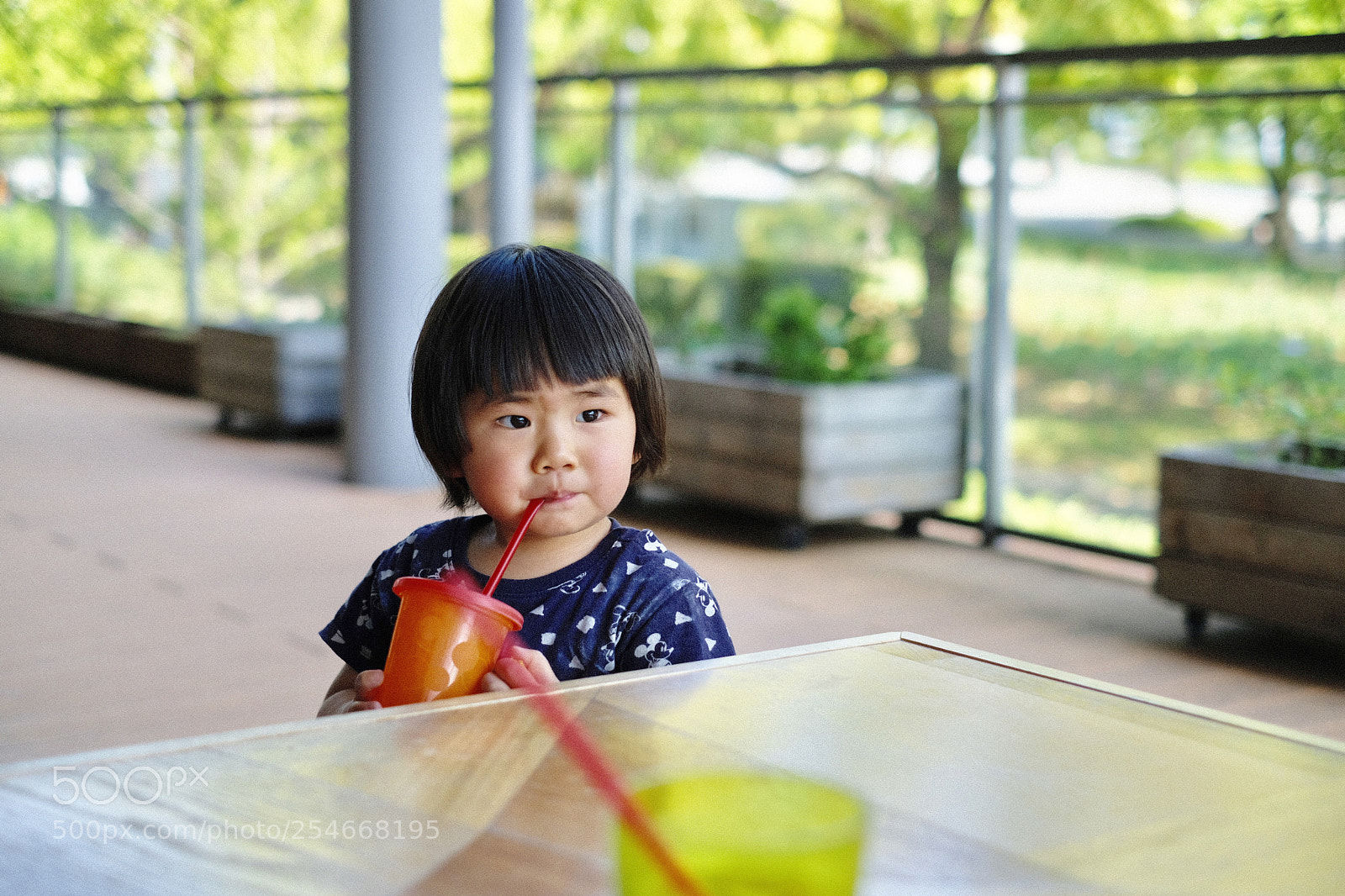 Fujifilm X-Pro2 sample photo. Summer is around the photography