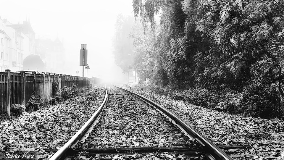 Fujifilm X-M1 sample photo. Brouillard photography