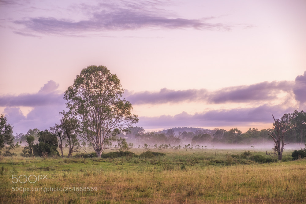 Fujifilm X-T1 sample photo. In australia photography