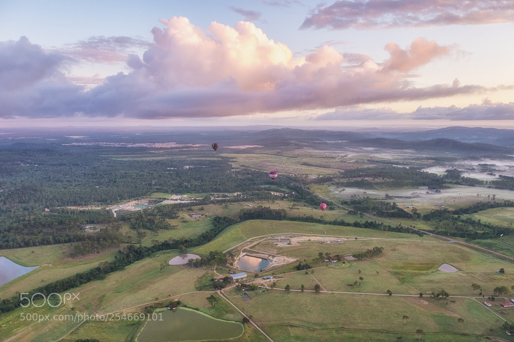 Fujifilm X-T1 sample photo. In australia photography