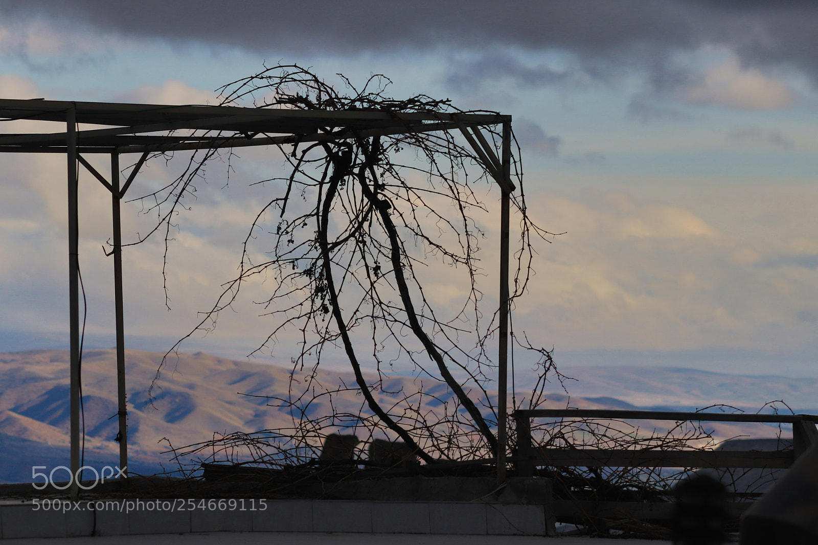 Canon EOS 77D (EOS 9000D / EOS 770D) sample photo. Untitled photography