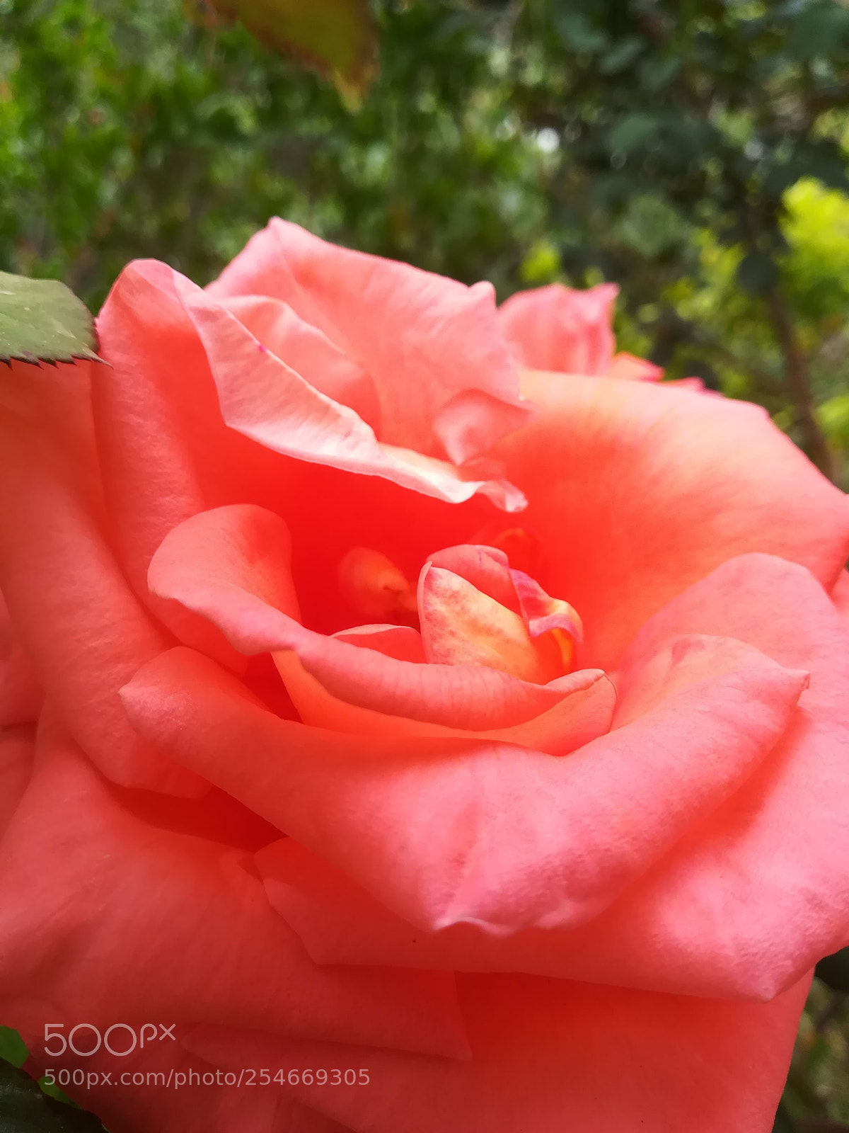 HUAWEI PRA-LX1 sample photo. Untitled photography