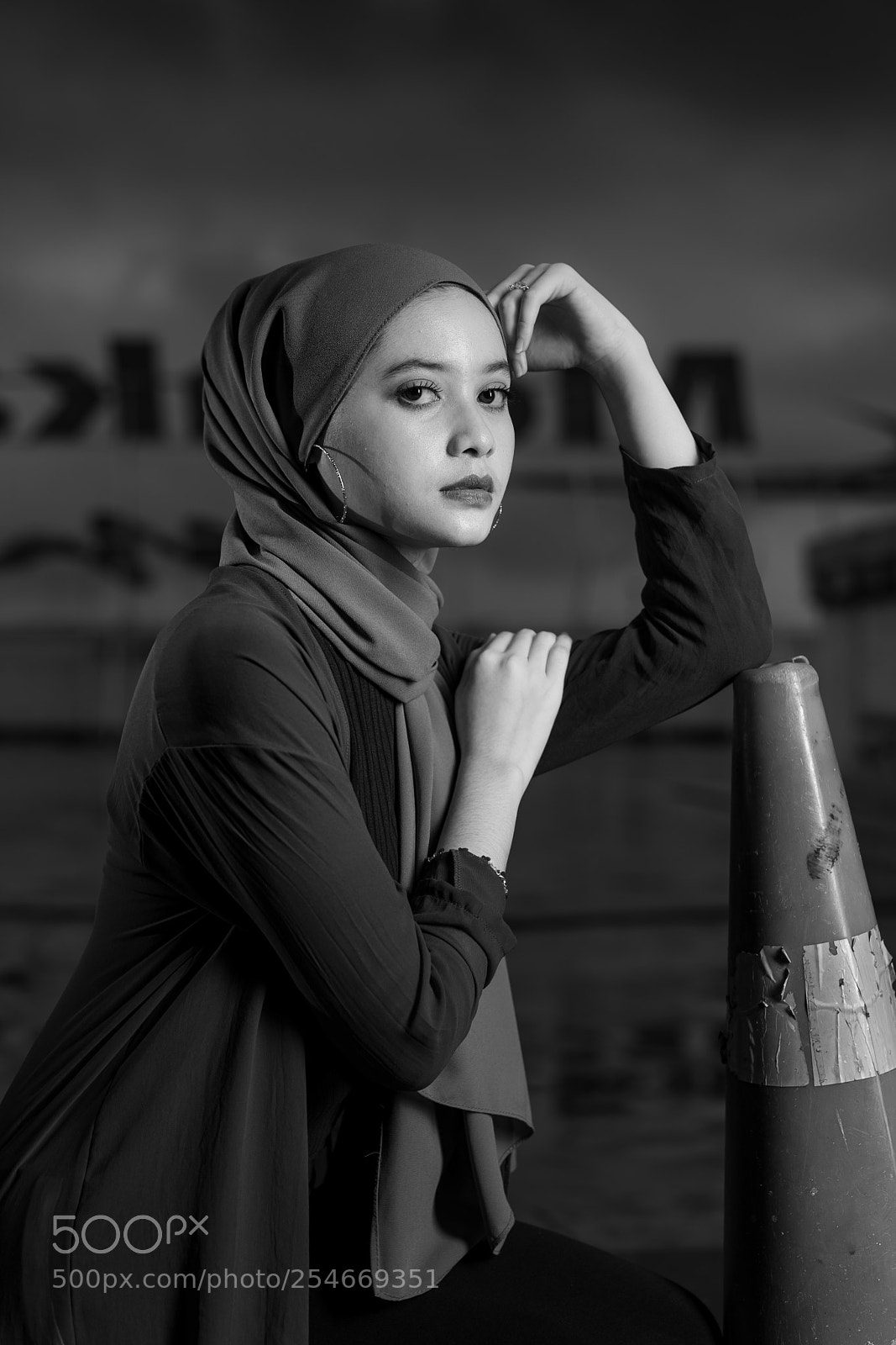 Sony a7 II sample photo. Wani photography