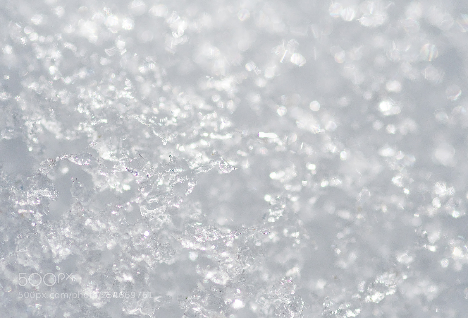 Nikon D500 sample photo. Melted snoflake iced bokeh photography