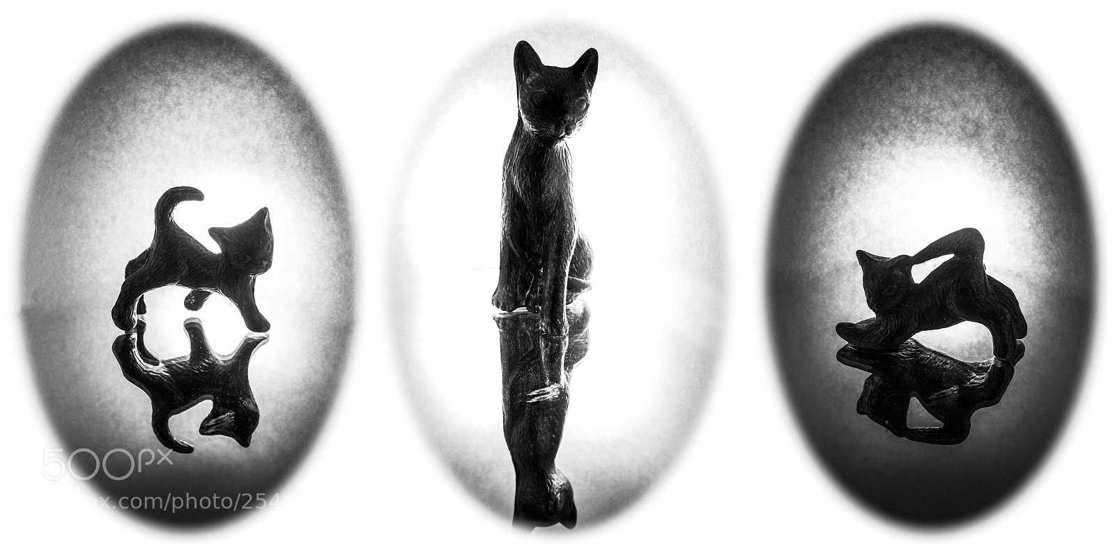 Canon EOS 7D sample photo. Cat ornament triptych photography