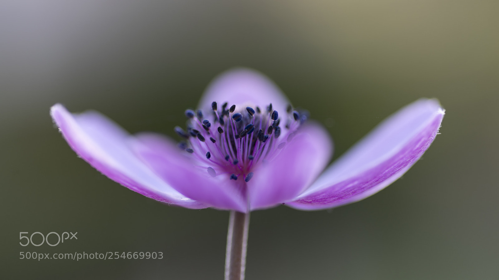 Pentax K-1 sample photo. All in focus #10 photography