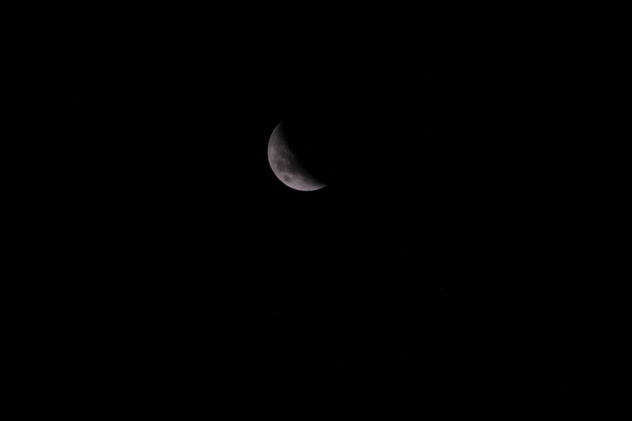Canon EF 75-300mm f/4-5.6 sample photo