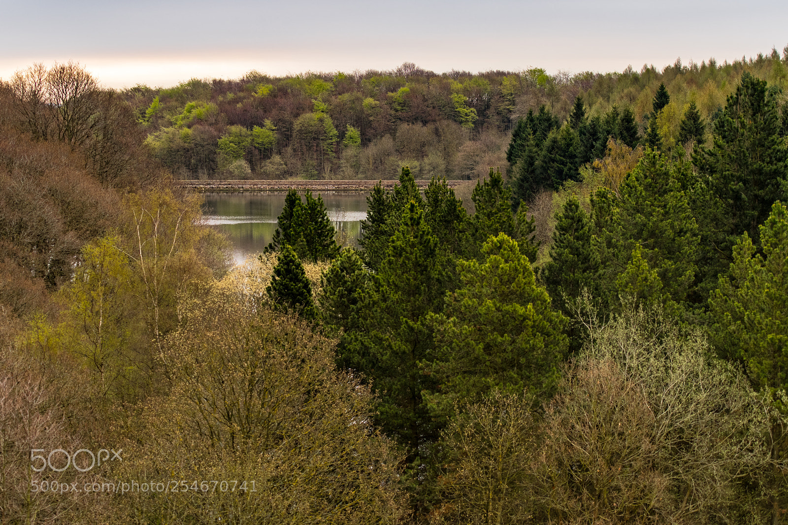 Nikon D850 sample photo. Linacre reservior iii photography
