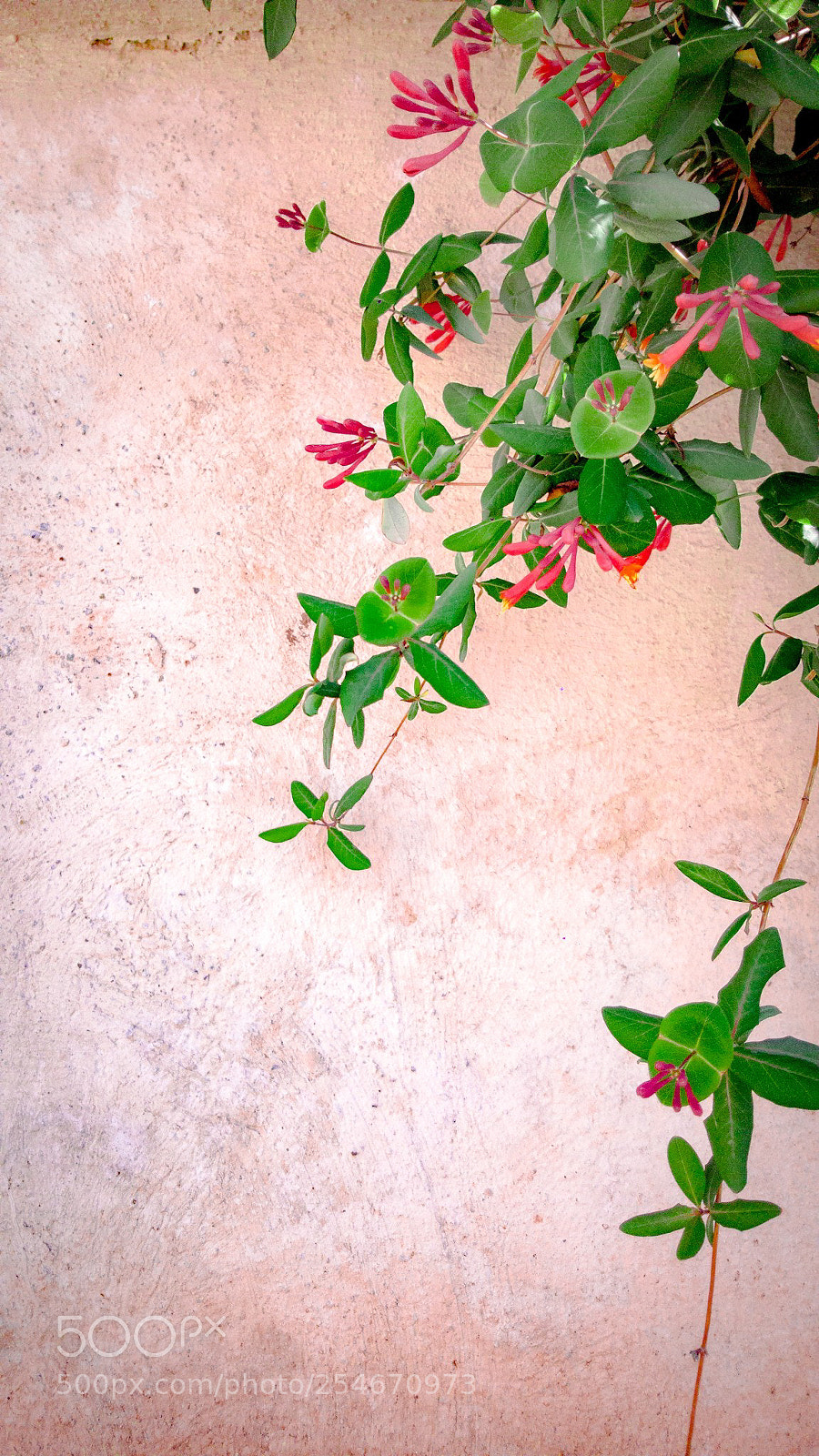Samsung Galaxy Note5 sample photo. Spring photography