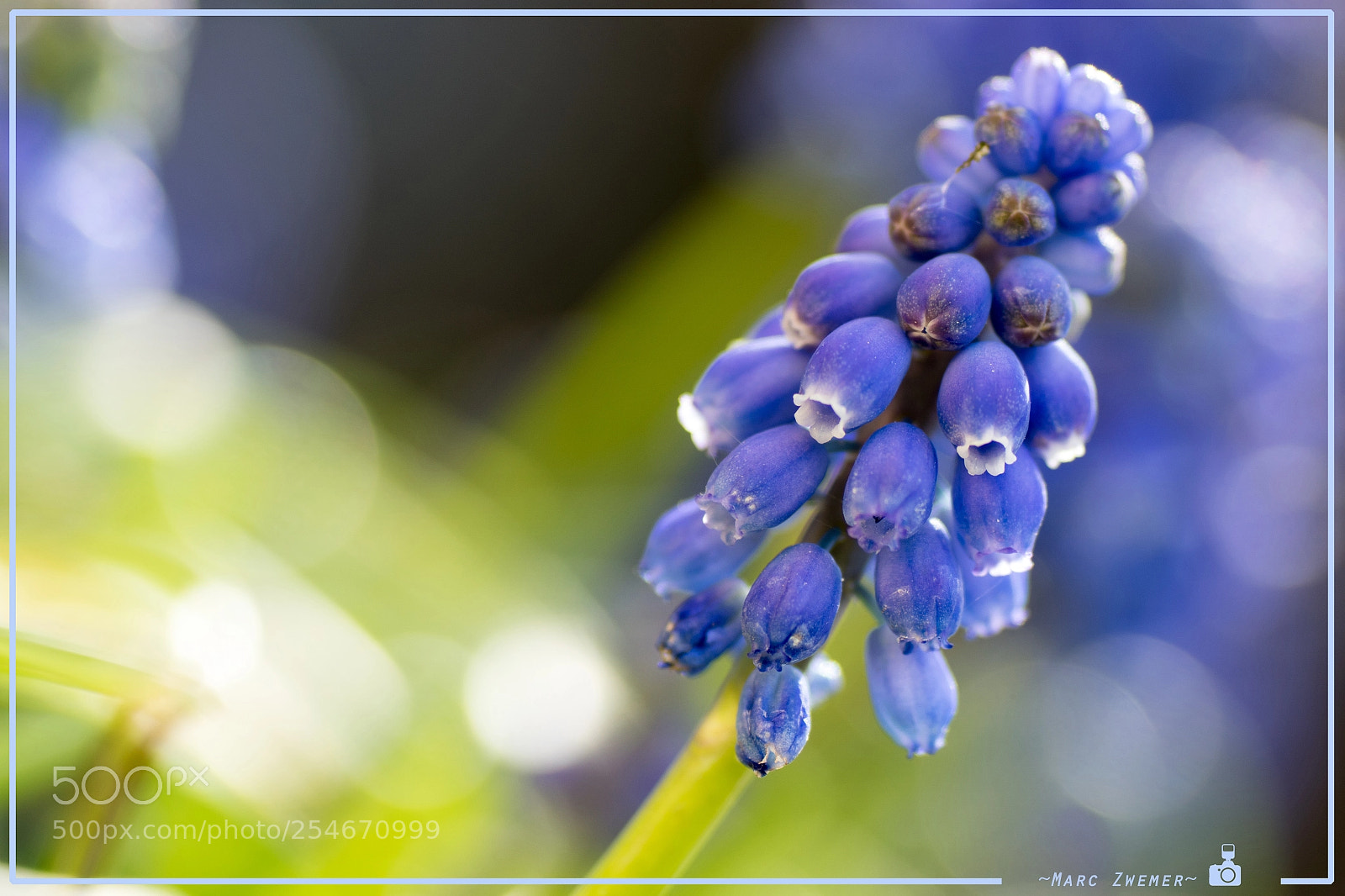 Sony ILCA-77M2 sample photo. Enyojing the warmth of photography