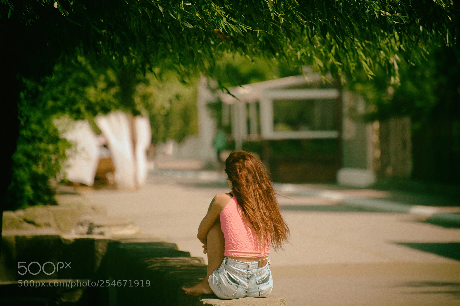 Nikon D810 sample photo. Good morning, summer! photography