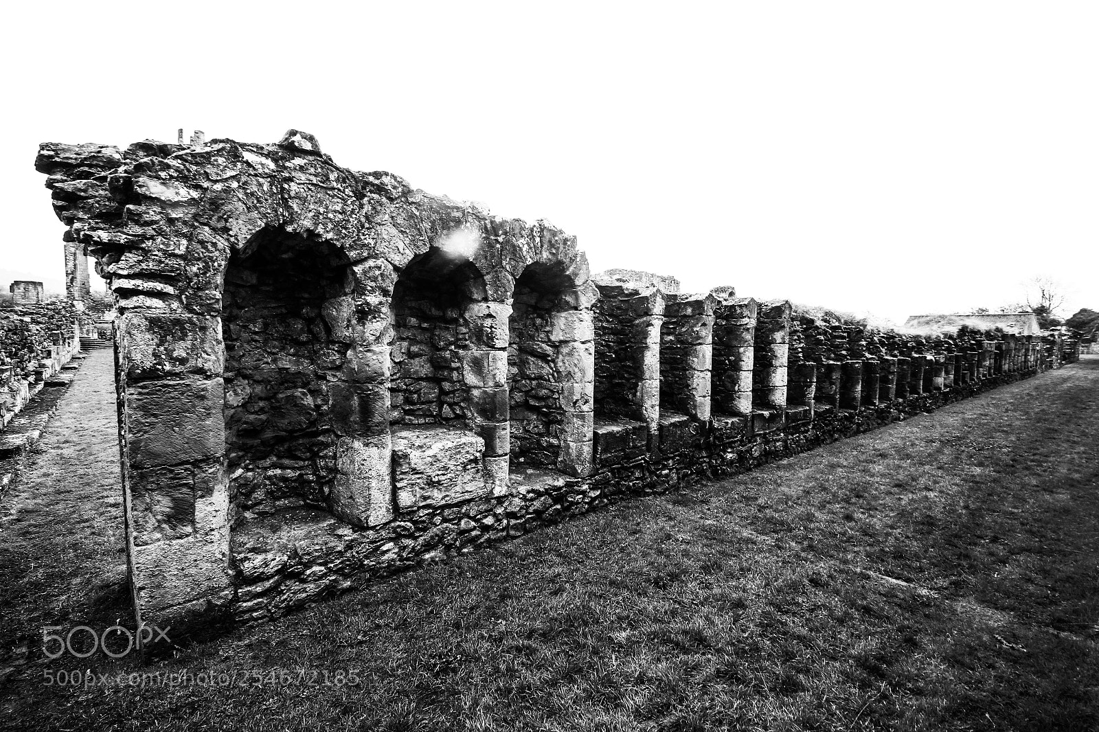 Canon EOS 7D sample photo. Byland abbey photography