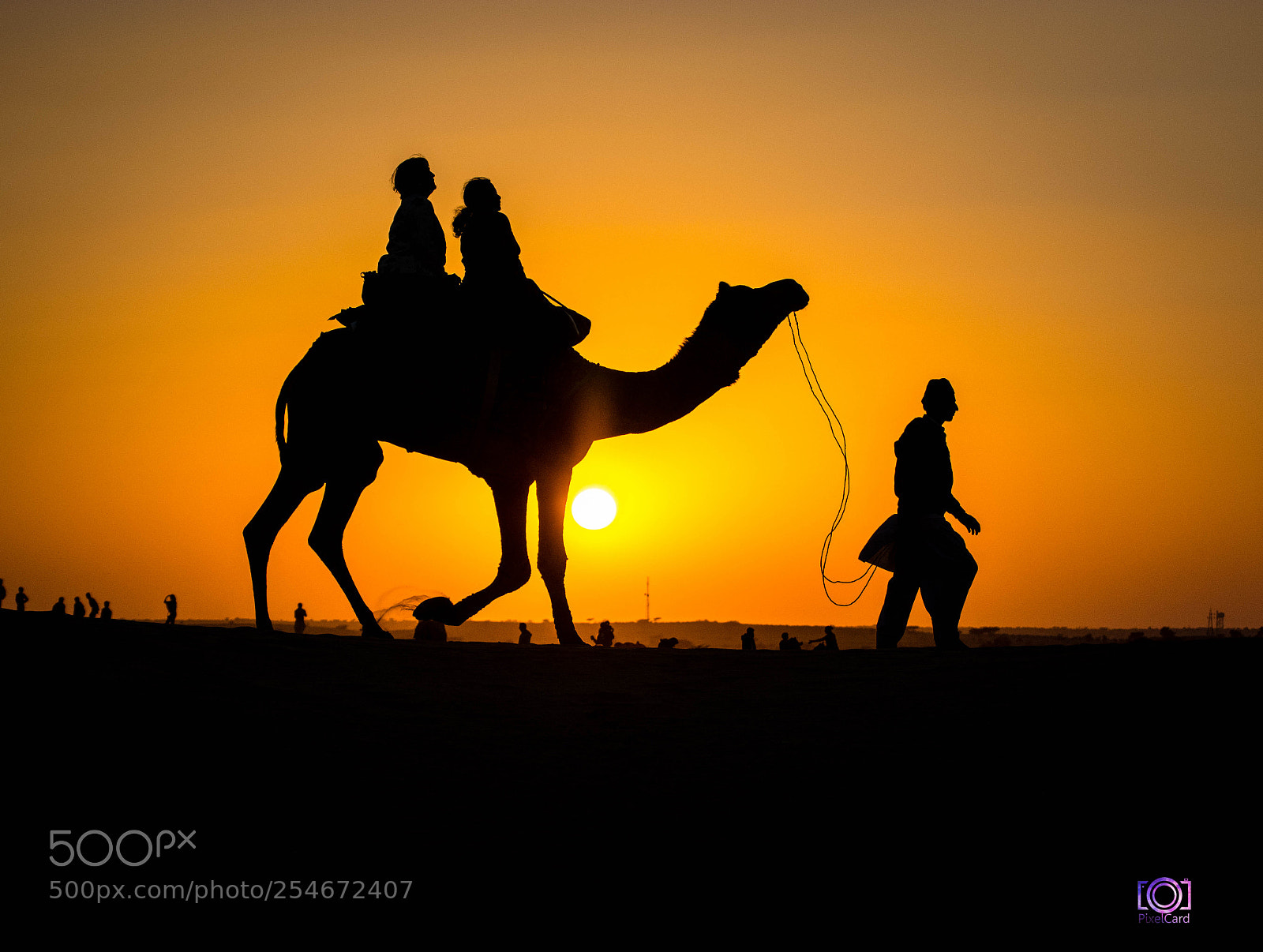 Nikon D5200 sample photo. Desert safari in thar photography
