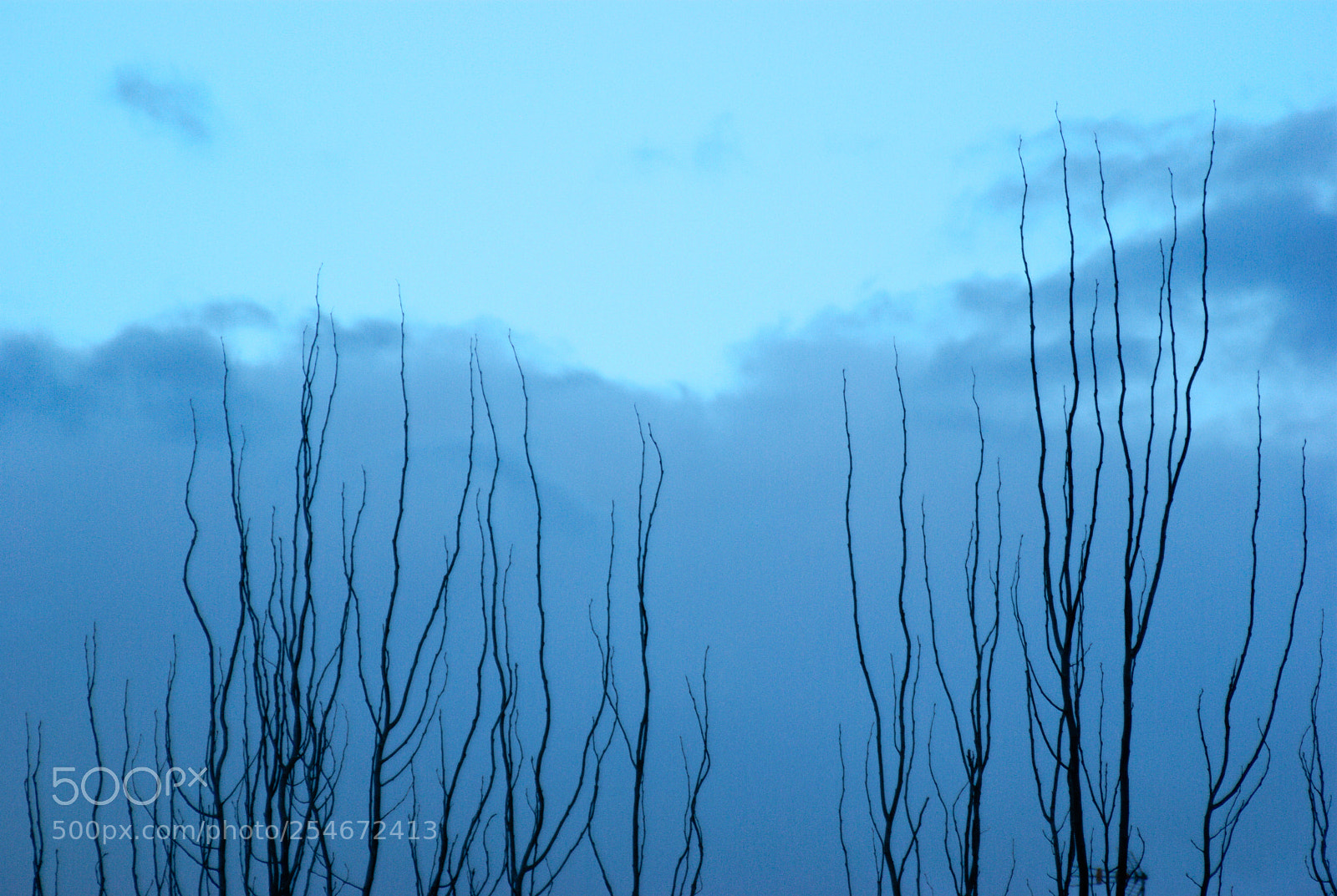 Pentax K10D sample photo. Blue morning... photography