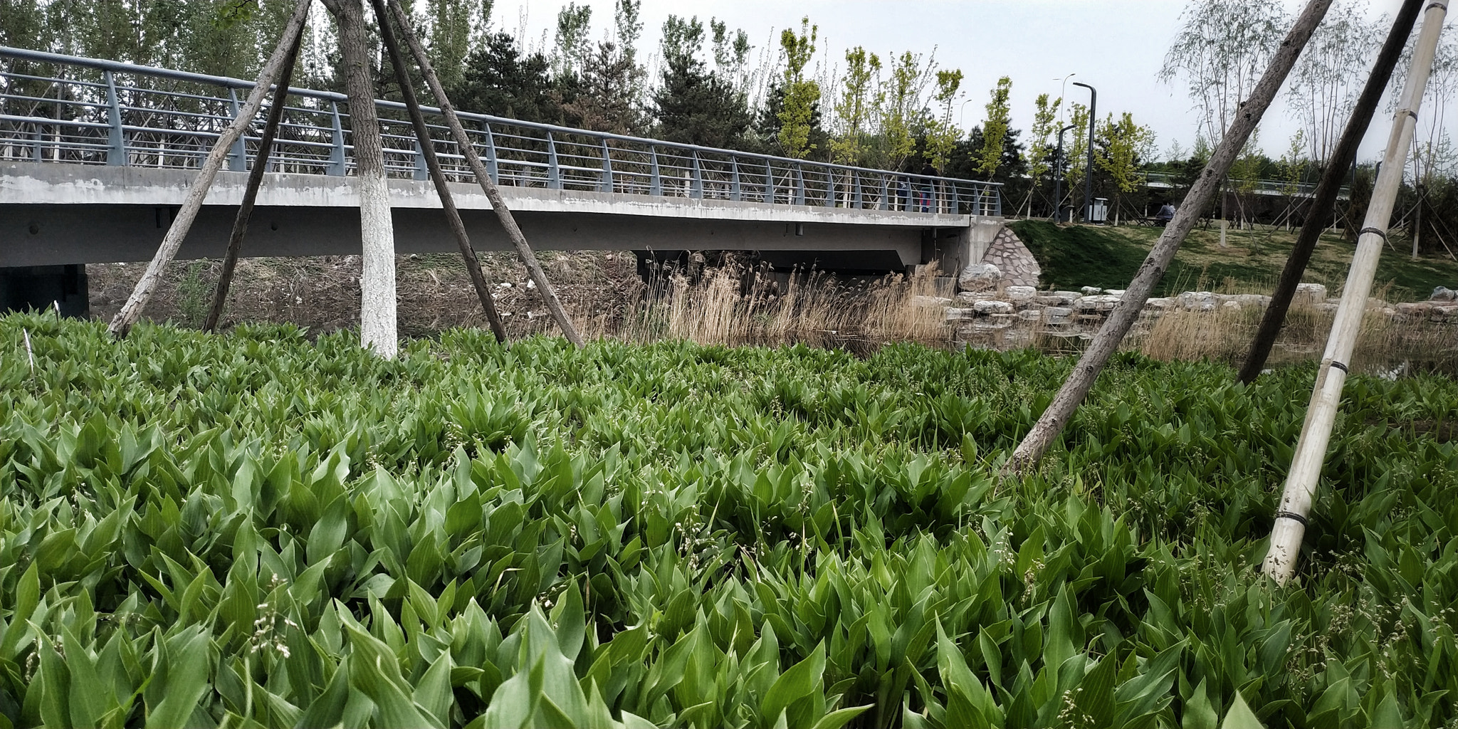 Xiaomi MIX 2 sample photo. 2 photography