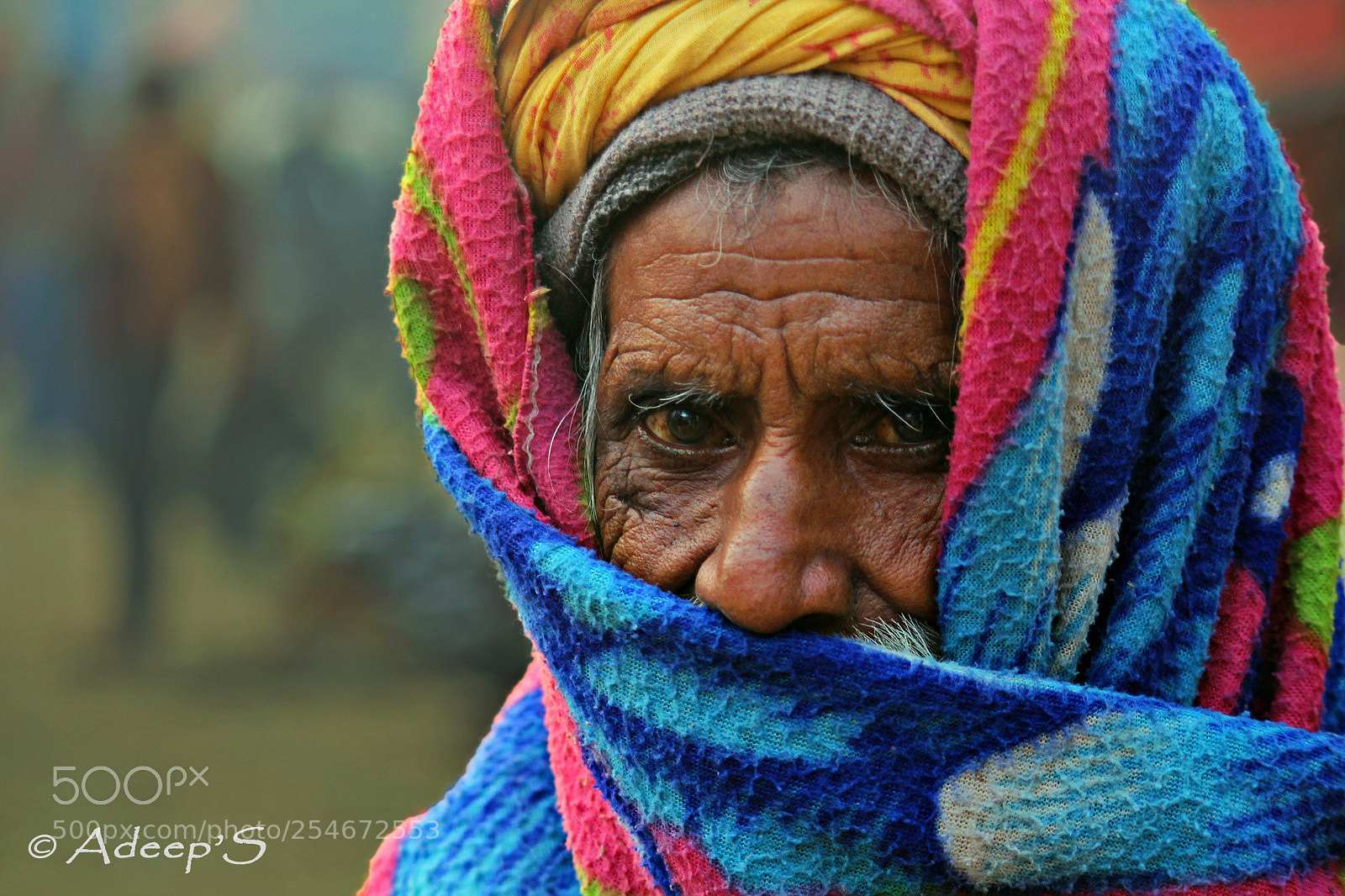 Canon EOS 700D (EOS Rebel T5i / EOS Kiss X7i) sample photo. Yogi.. photography