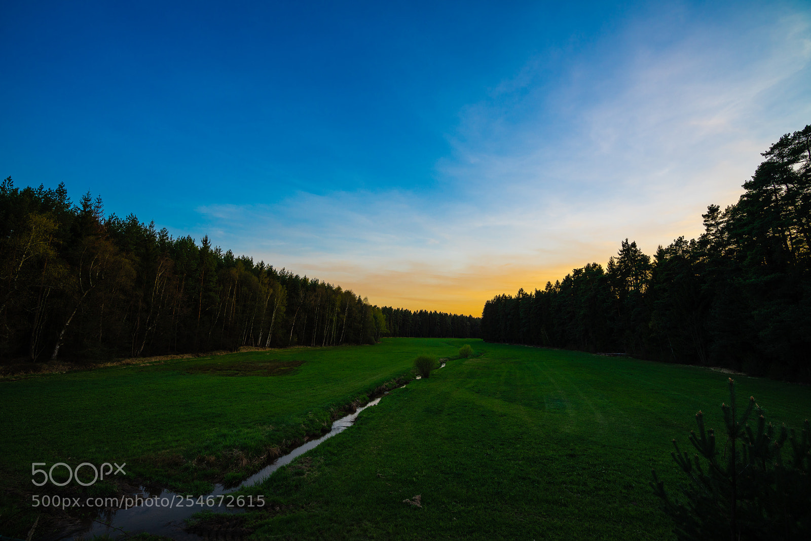 Sony a7R III sample photo. Sunset valley photography
