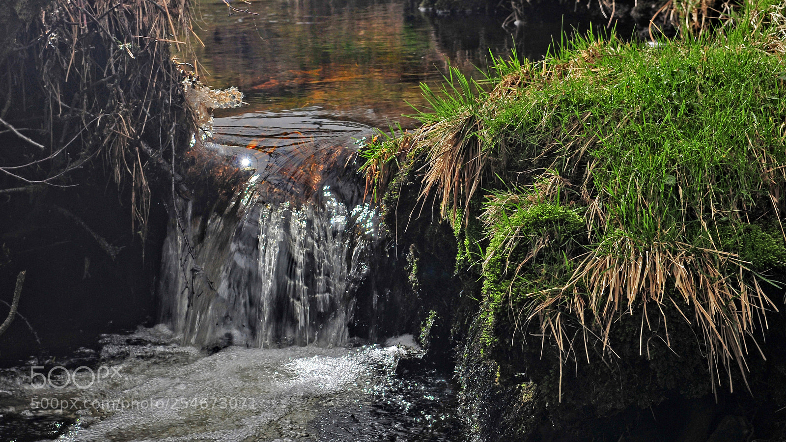 Nikon D300 sample photo. Stream photography