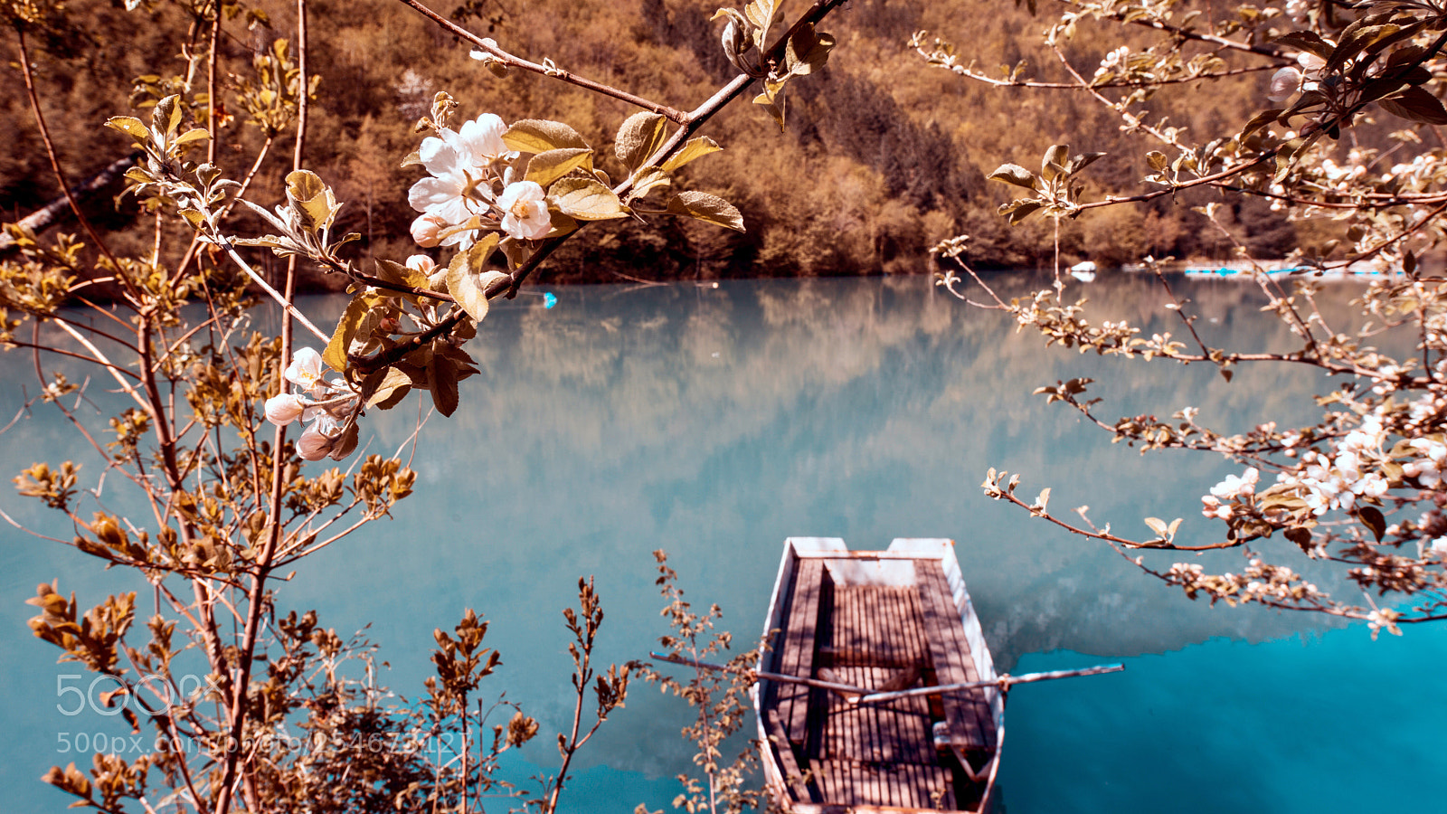 Nikon D610 sample photo. Spring photography