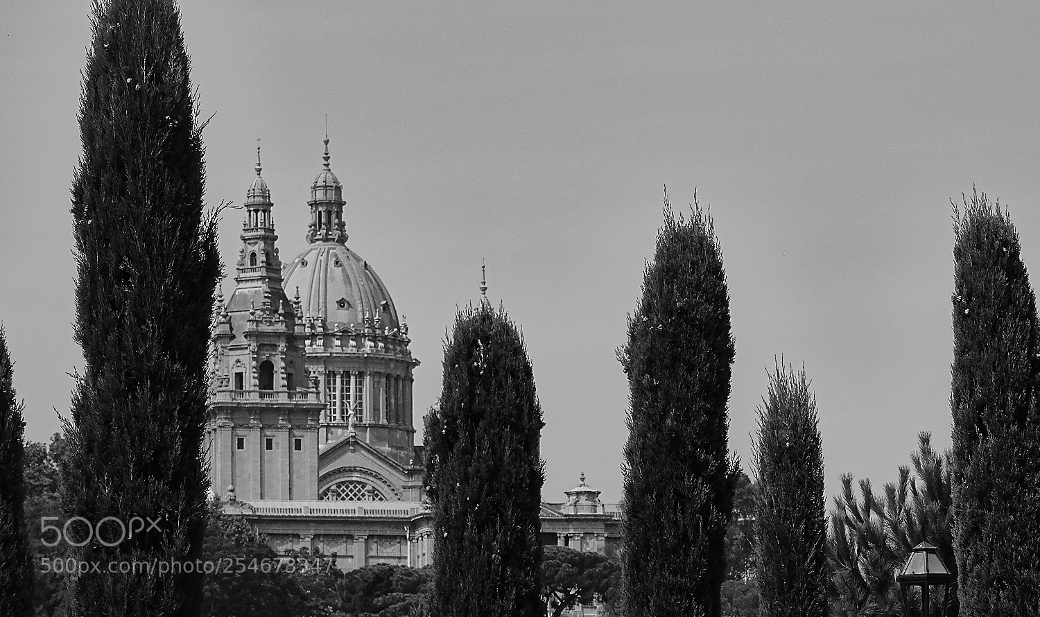 Sony Cyber-shot DSC-HX400V sample photo. The palau nacional photography